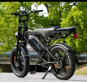 Vélo Électrique