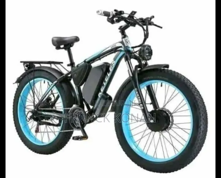 Vélo Électrique