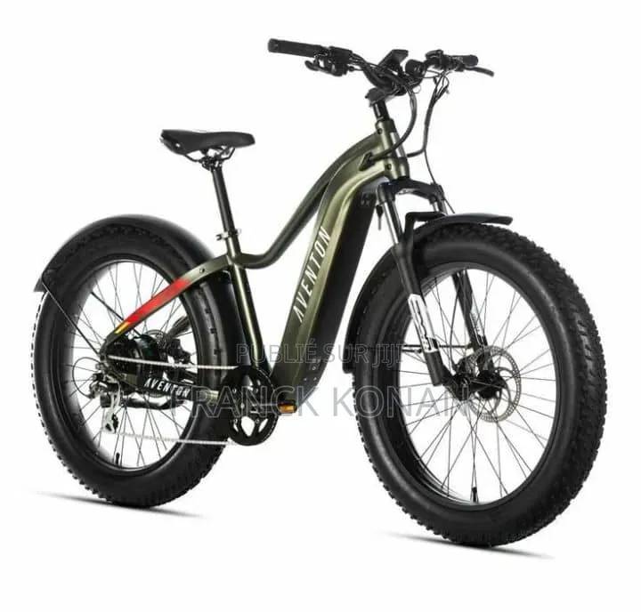 Vélo Électrique