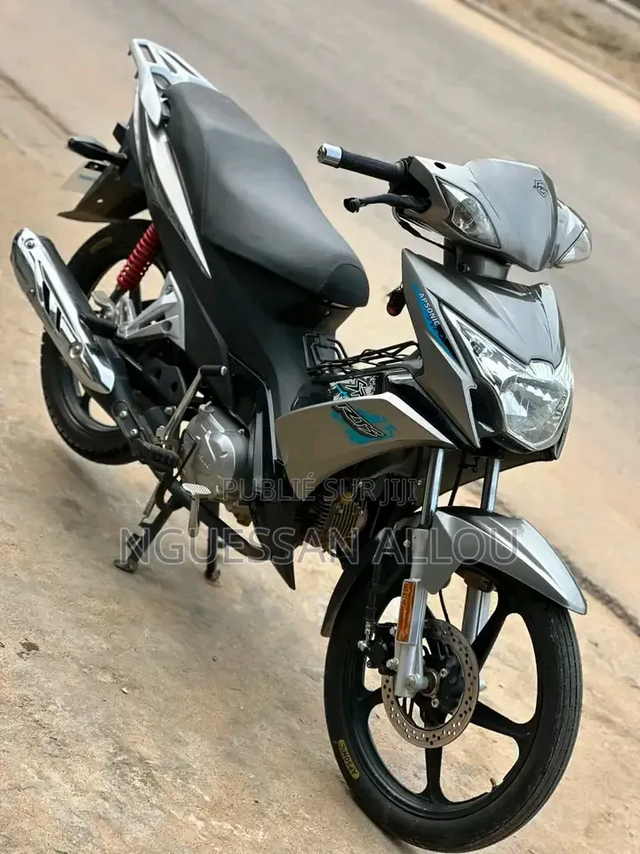Nouveau Apsonic AP110-A 2025 Gris