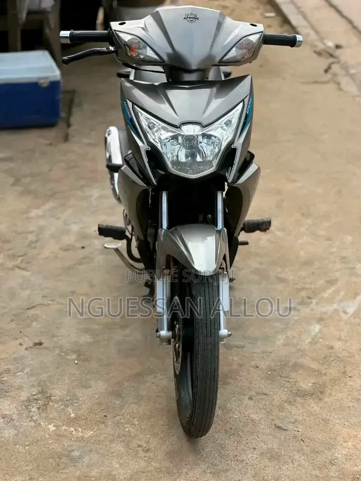 Nouveau Apsonic AP110-A 2025 Gris