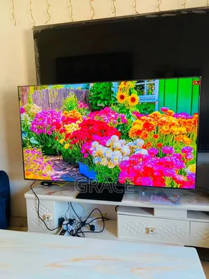 Télévision