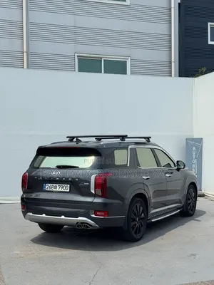 Hyundai Palissade 2020 Vert