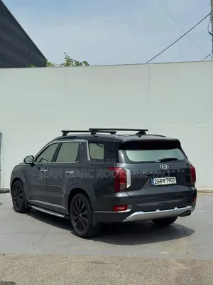 Hyundai Palissade 2020 Vert