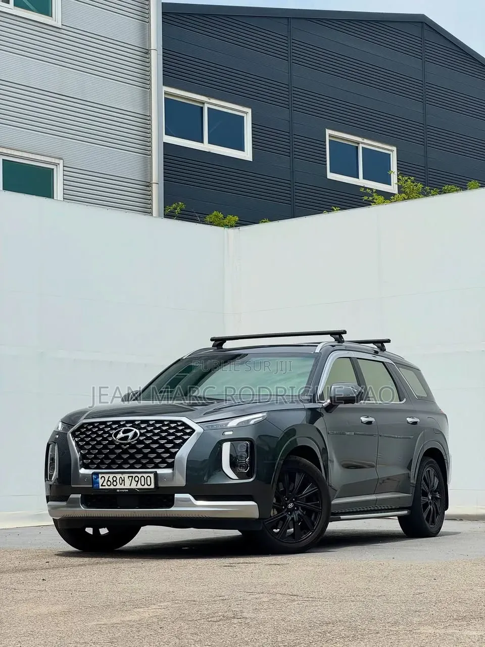 Hyundai Palissade 2020 Vert