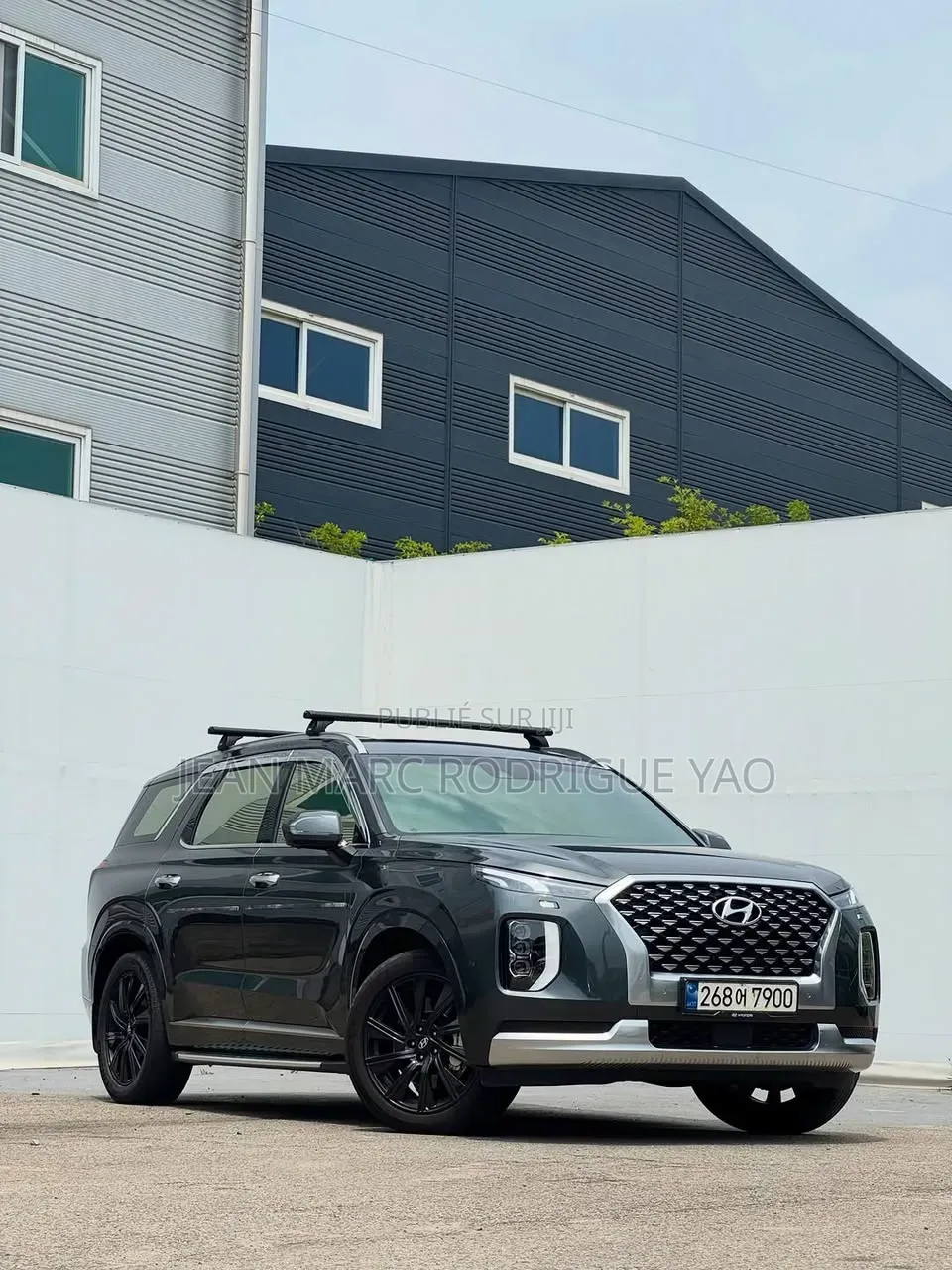 Hyundai Palissade 2020 Vert