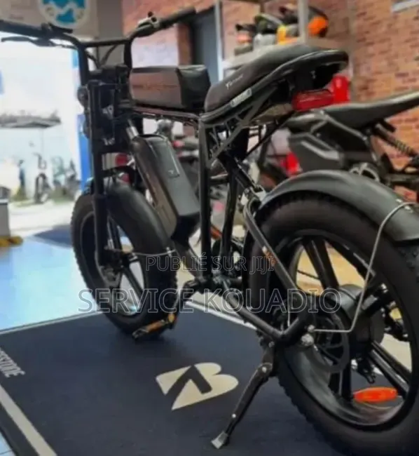 Vélo Électrique