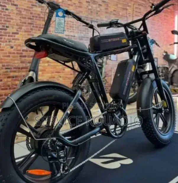 Vélo Électrique