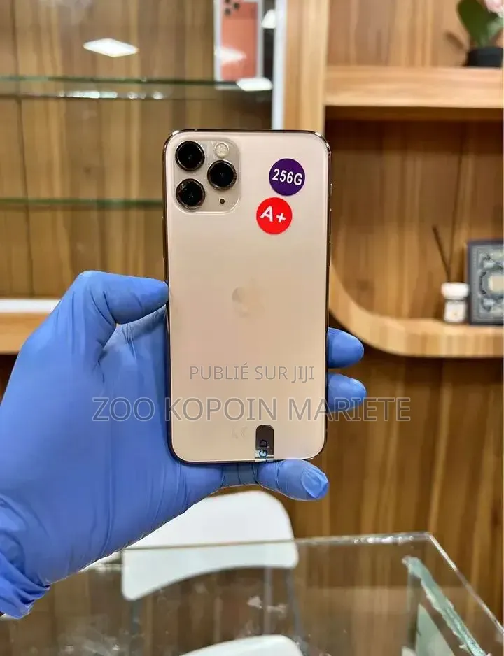 Nouveau Apple iPhone 11 Pro 256 GB Gris