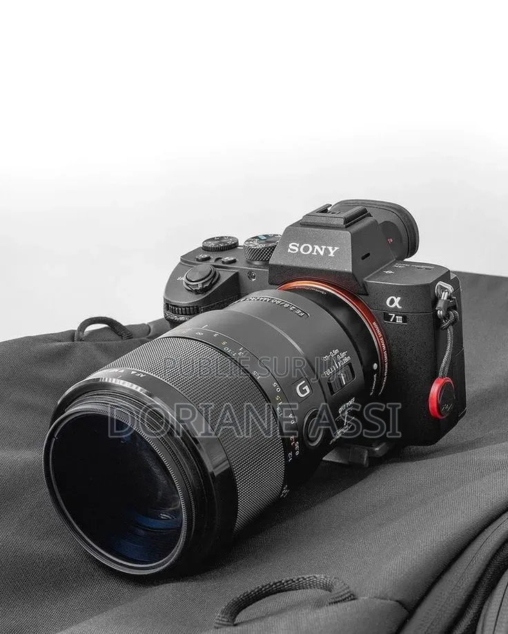 Sony Alpha Avec l'Objectif Sony Fe 90mm F/2 .8 Marco G Oss