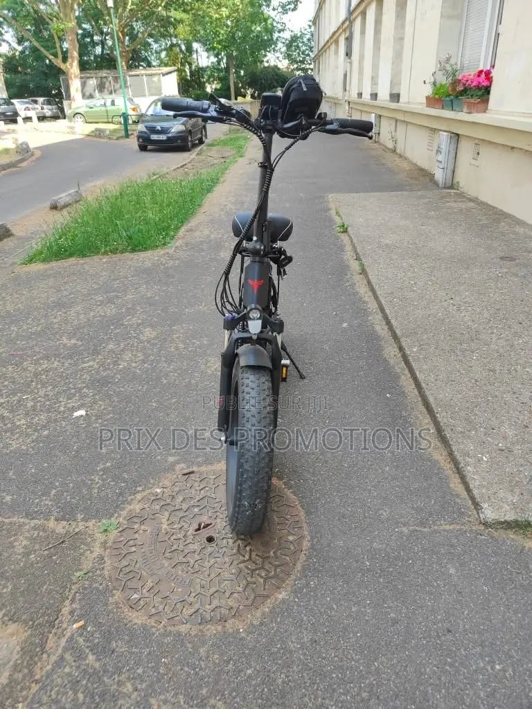 Vélo Électrique