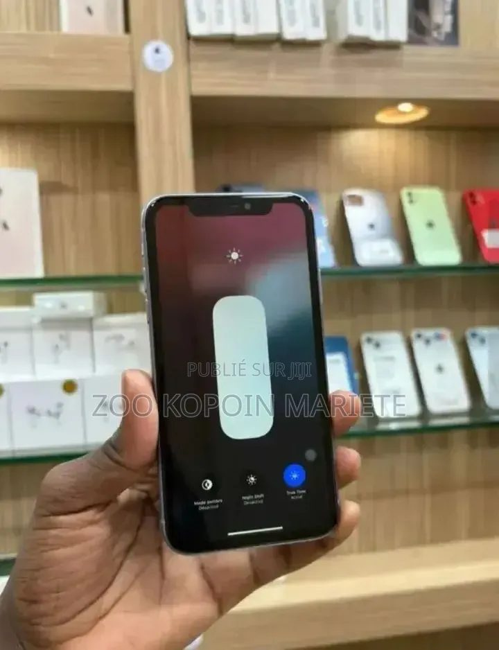 Nouveau Apple iPhone 11 Pro Max 256 GB Rose
