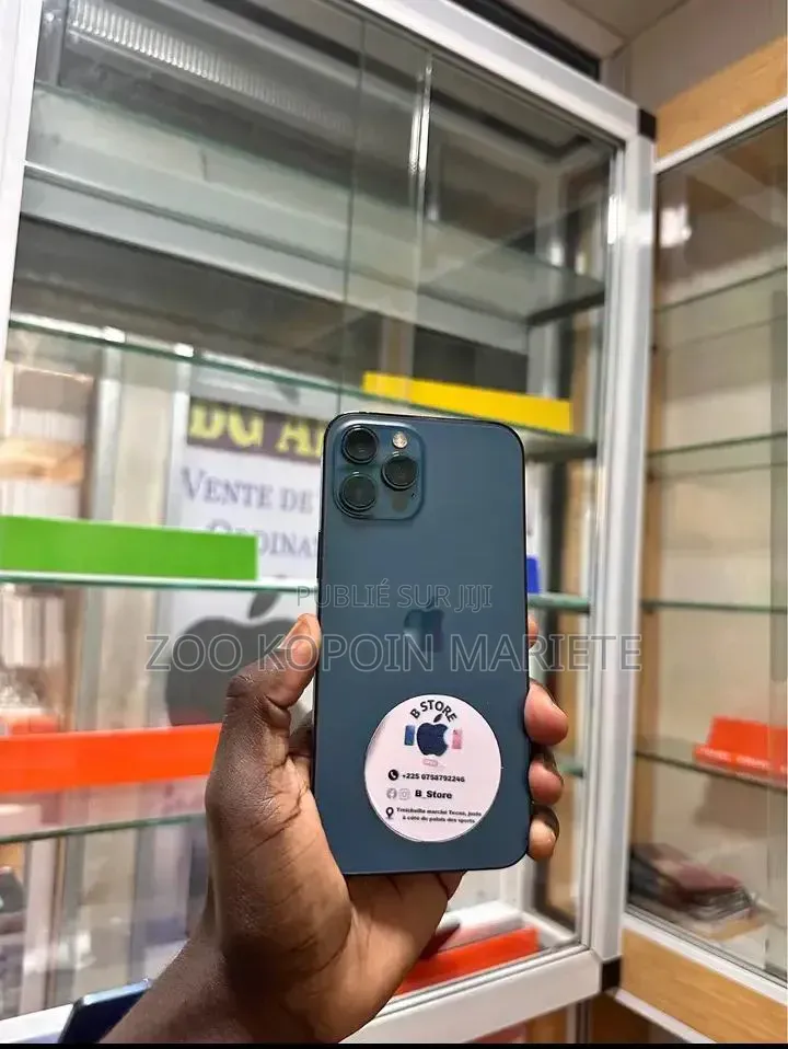 Nouveau Apple iPhone 12 Pro Max 256 GB Violet