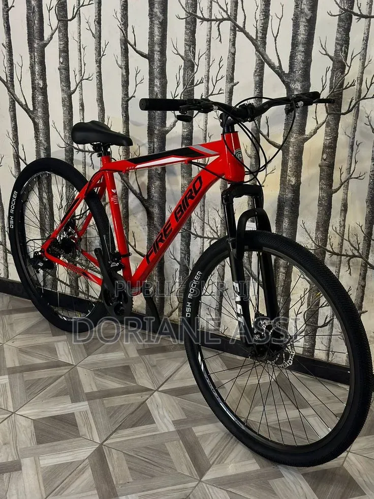 C'est Un Vélo Électrique Hotebike