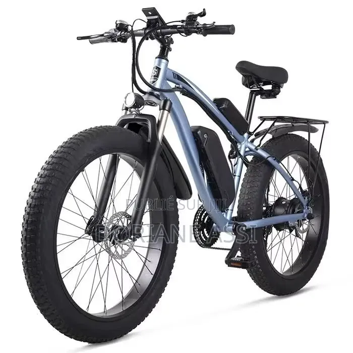 C'est Un Vélo Électrique Hotebike