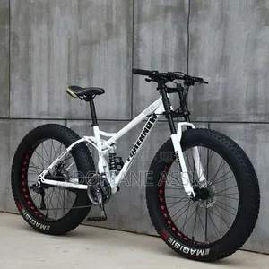 C'est Un Vélo Électrique Hotebike
