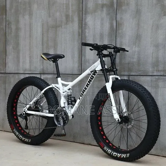 C'est Un Vélo Électrique Hotebike