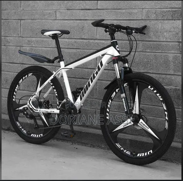 C'est Un Vélo Électrique Hotebike