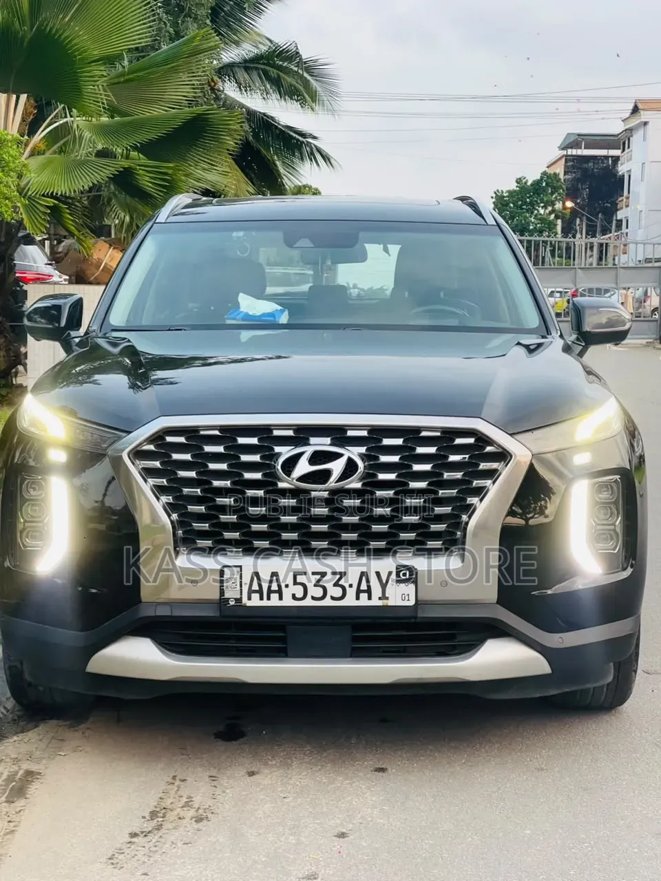 Hyundai Palissade 2019 Bleu