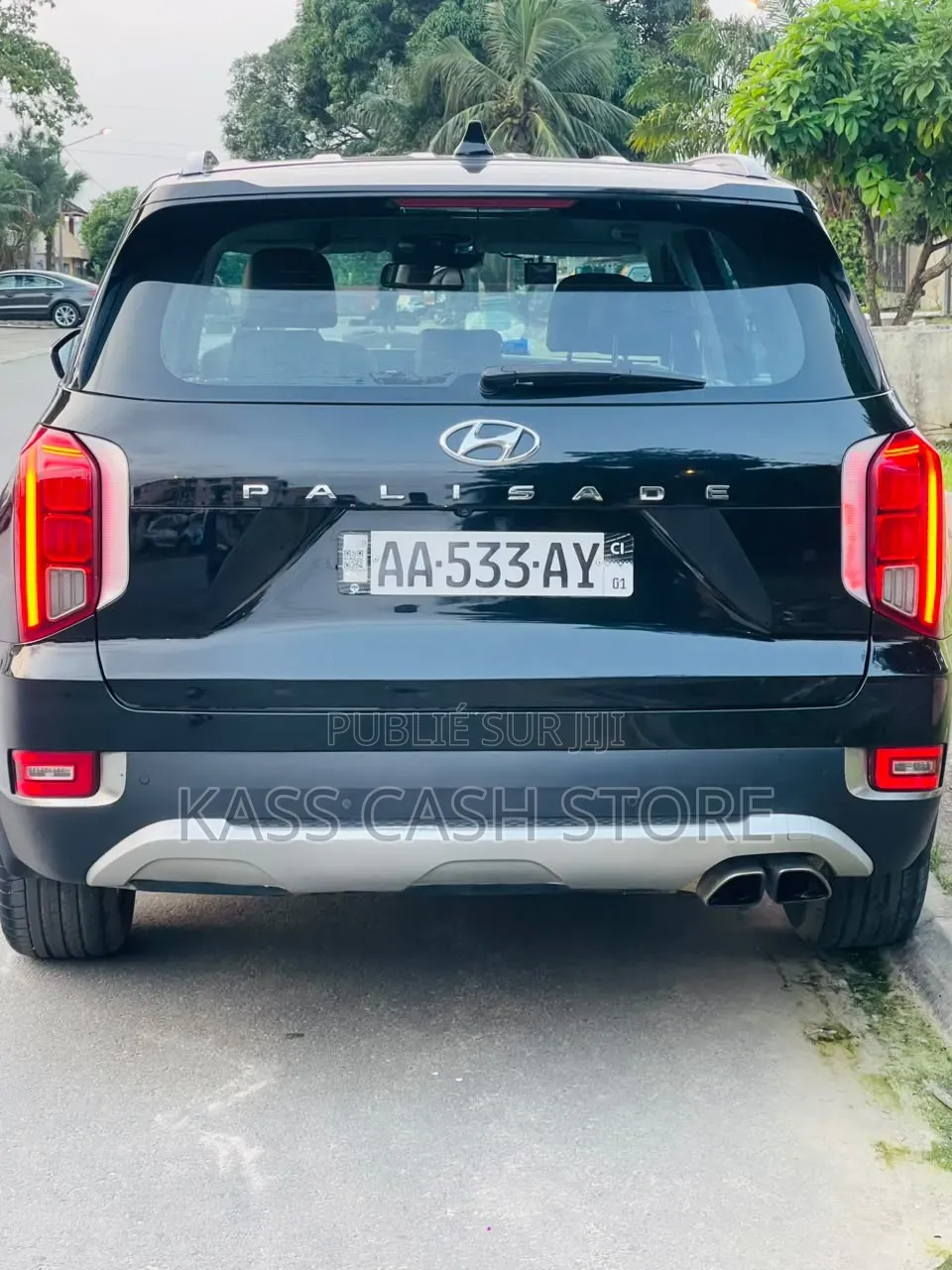 Hyundai Palissade 2019 Bleu