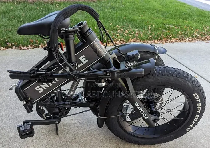 Vélo Électrique