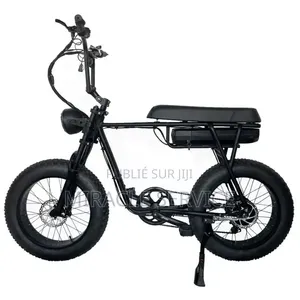 Vélo Électrique
