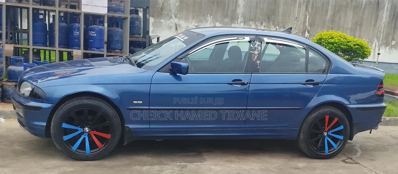 BMW 3 Series 2001 Bleu