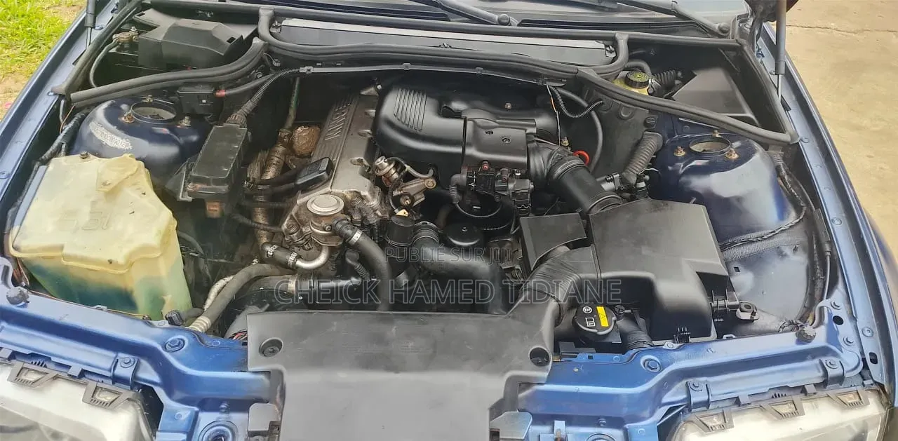 BMW 3 Series 2001 Bleu