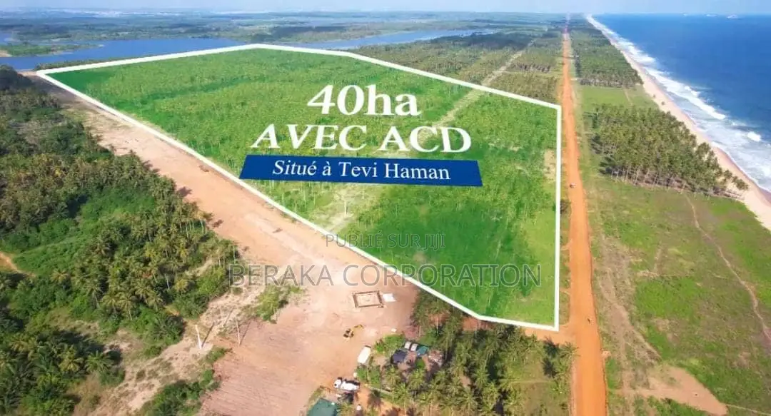 40 Hectares EN VENTE À Jacquville Levi Haman À La Fois en Bordure De