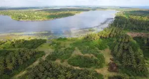 40 Hectares EN VENTE À Jacquville Levi Haman À La Fois en Bordure De