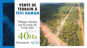 40 Hectares EN VENTE À Jacquville Levi Haman À La Fois en Bordure De