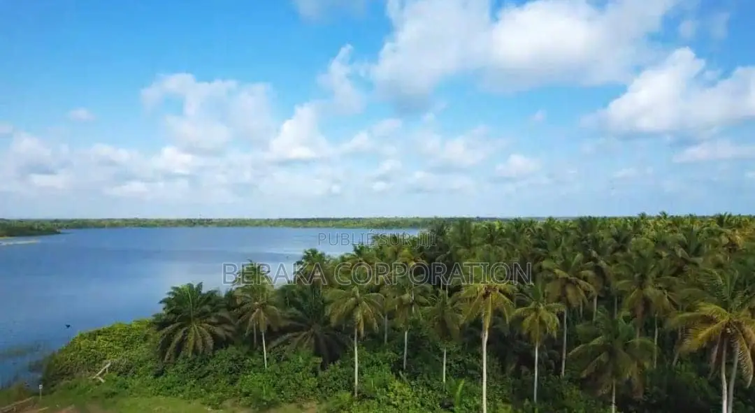 40 Hectares EN VENTE À Jacquville Levi Haman À La Fois en Bordure De