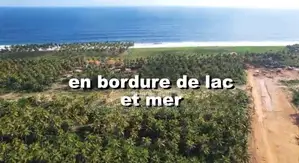 40 Hectares EN VENTE À Jacquville Levi Haman À La Fois en Bordure De