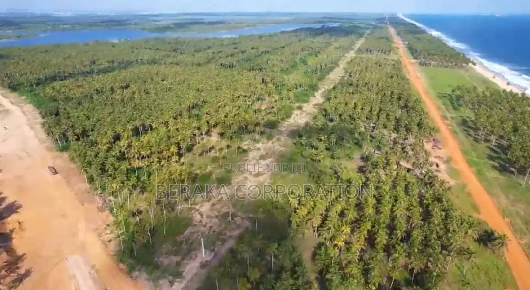 40 Hectares EN VENTE À Jacquville Levi Haman À La Fois en Bordure De