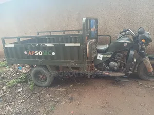 Apsonic AP200-A 2025 Vert