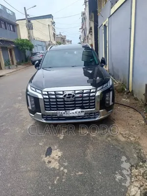 Hyundai Palissade 2021 Noir