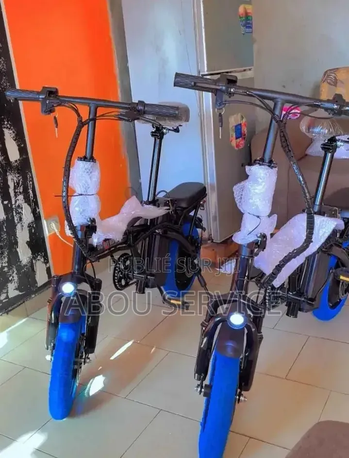 Vélo Électrique