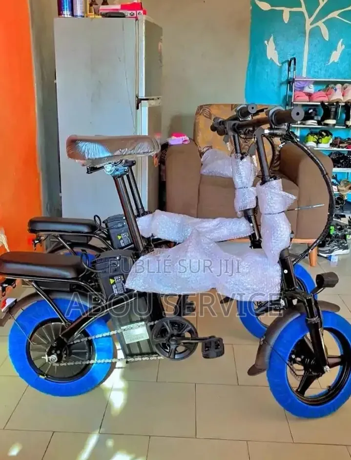 Vélo Électrique