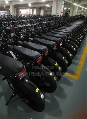 Vélo Électrique