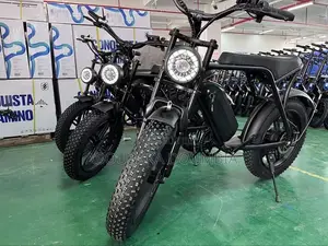 Vélo Électrique