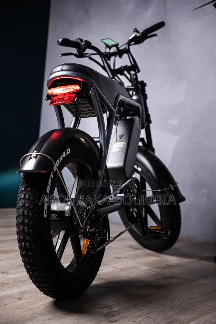 Vélo Électrique
