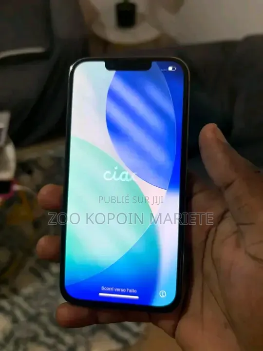 Nouveau Apple iPhone 13 Pro 256 GB Autre