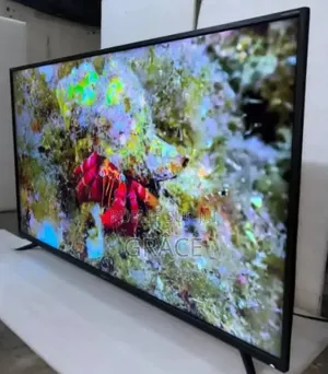 Télévision