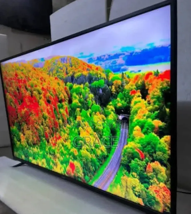 Télévision