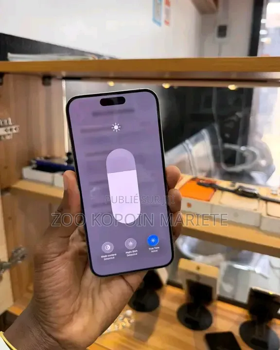 Nouveau Apple iPhone 15 Pro Max 256 GB Gris