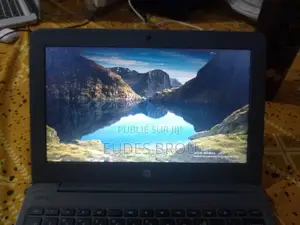 Ordinateur portable HP 245 G4 4GB Intel Core 2 Duo HDD 128GB