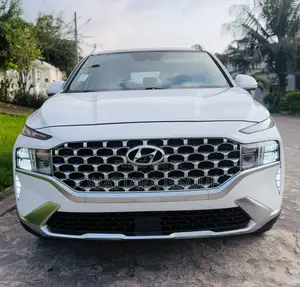 Hyundai Santa Fe Limited 2023 Gris