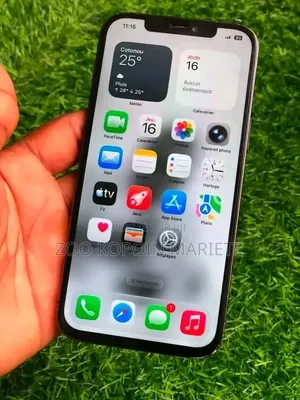 Nouveau Apple iPhone 12 Pro Max 256 GB Gris