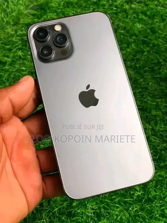 Nouveau Apple iPhone 12 Pro Max 256 GB Gris