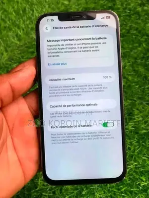 Nouveau Apple iPhone 12 Pro Max 256 GB Gris